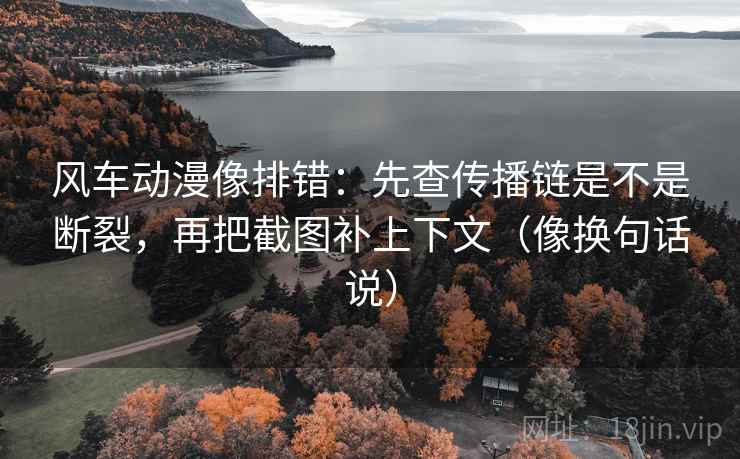 风车动漫像排错：先查传播链是不是断裂，再把截图补上下文（像换句话说）